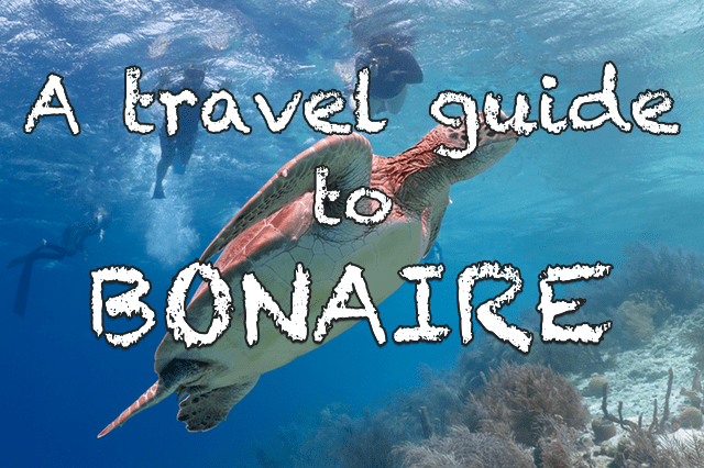 A travel guide to&nbsp;Bonaire