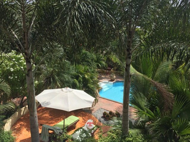 aruba wonders boutique hotel garden and pool