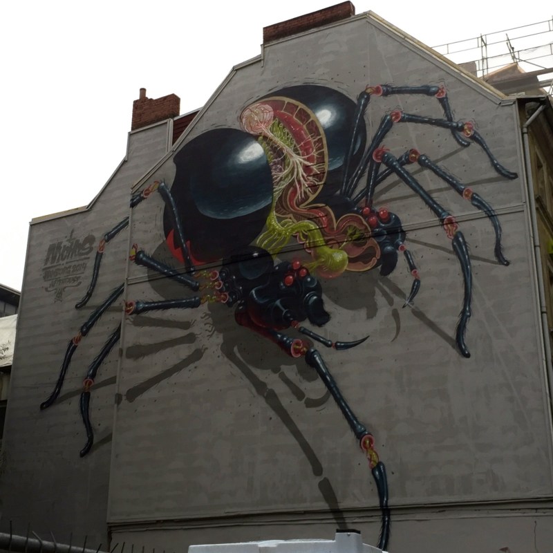 streetart in hamburg spider by nychos