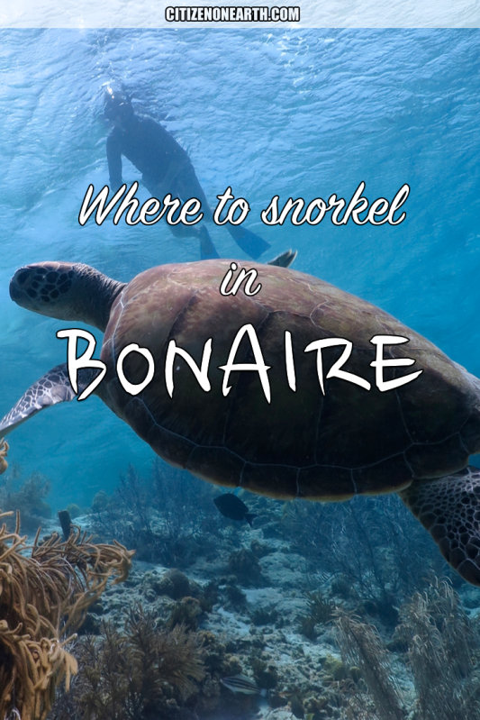 where to snorkel in bonaire