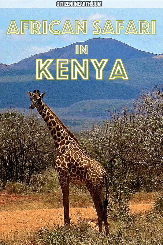 African Safari in Kenya Citizen on Earth Travel Blog