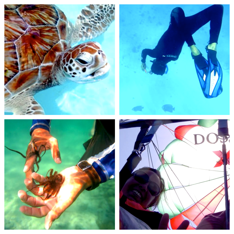 2 weeks in Mexico Travel Itinerary - Akumal