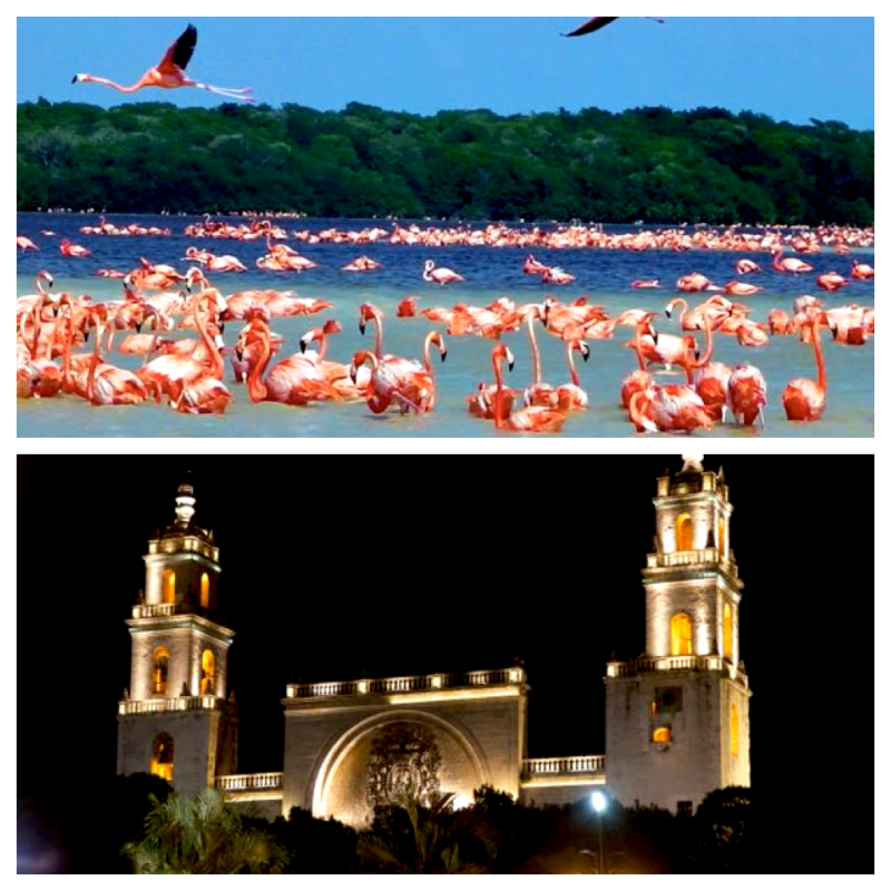 2 weeks in Mexico Travel Itinerary - Merida