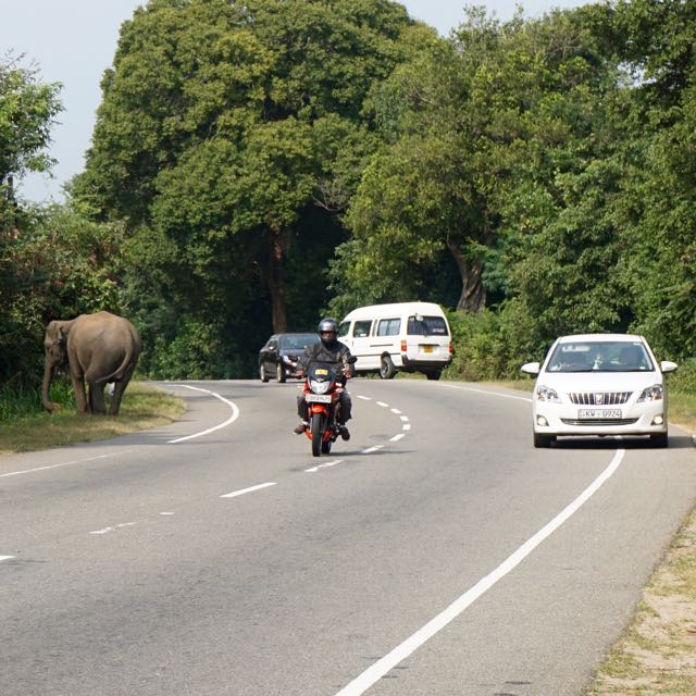 Visiting ancient city Pollonaruwa Sri Lanka - How to get to Pollonaruwa