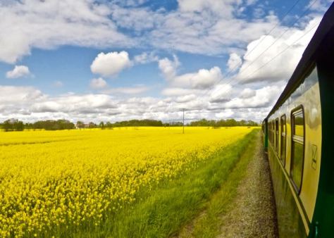 Things to do in Rügen Island in Baltic Sea in North East Germany - Rasender Roland Train through beatiful landscapes