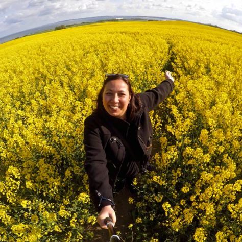 Things to do in Rügen Island in Baltic Sea in North East Germany - Yellow Rape Conola Fields bloom in May