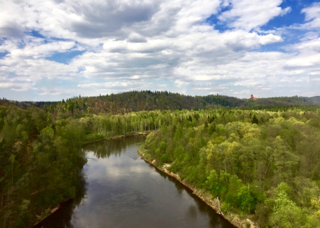Day trip from Riga to Sigulda - Gauja River Valley Views from Cable Car