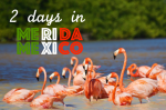 Things to do in 2 days in Merida - Yucatan Peninsula - Mexico