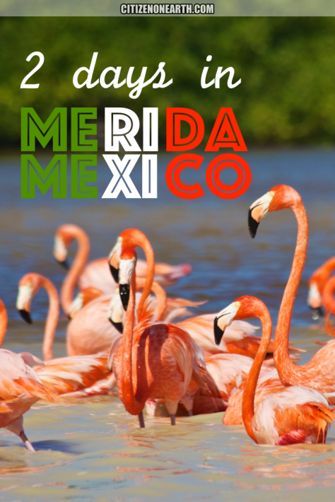 Things to do in 2 days in Merida - Yucatan Peninsula - Mexico