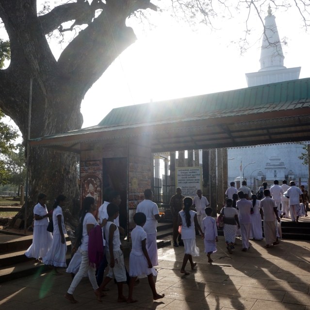 Visiting Ancient City of Anuradhapura in Sri Lanka - Ruwanweliseya Buddhist Ceremonie