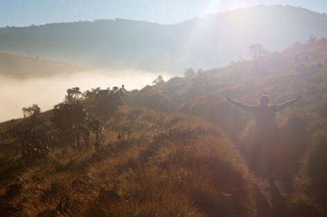 2 days in Nuwara Eliya Hill Country Sri Lanka Misty Morning in Horton Plains